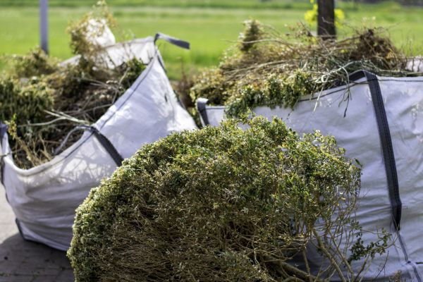 Cost of Shrubs Removal in Woodland Hills