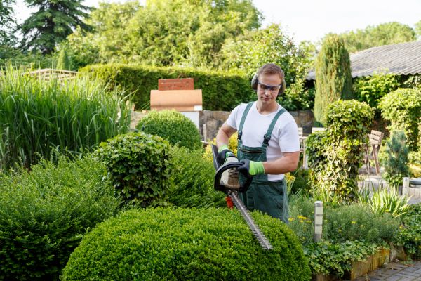 Cost of Shrubs Trimming in Woodland Hills